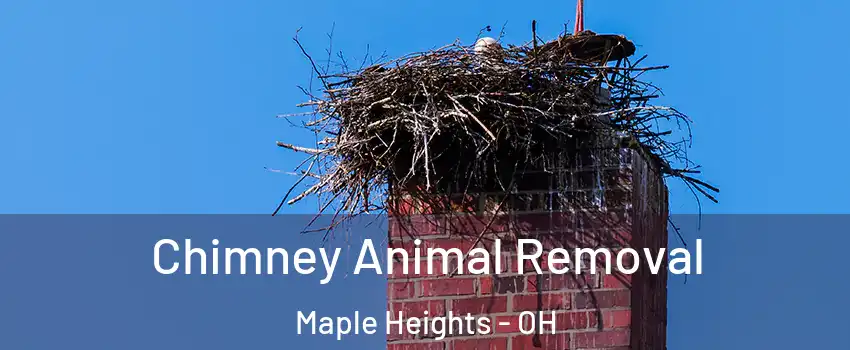  Chimney Animal Removal Maple Heights - OH