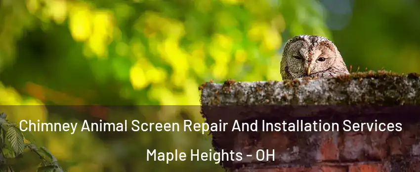  Chimney Animal Screen Repair And Installation Services Maple Heights - OH