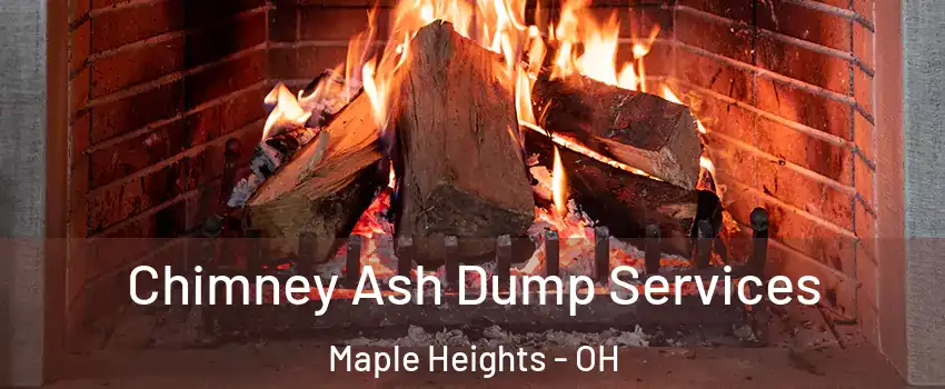  Chimney Ash Dump Services Maple Heights - OH