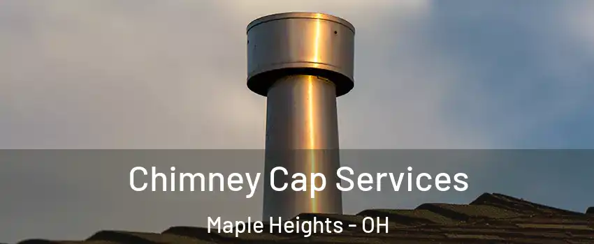  Chimney Cap Services Maple Heights - OH