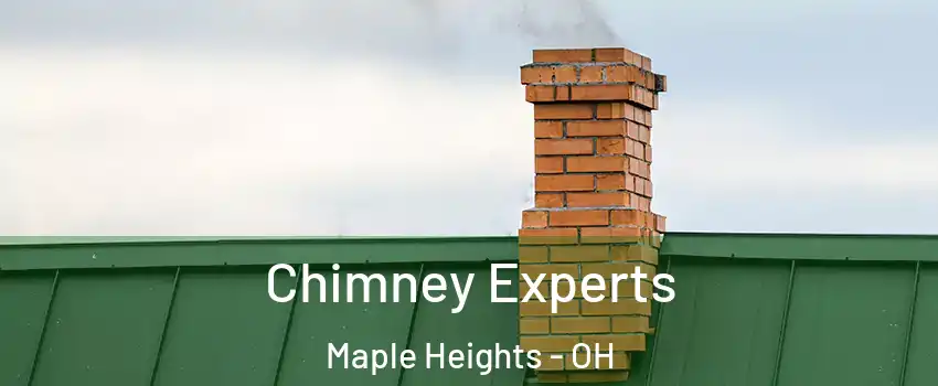 Chimney Experts Maple Heights - OH