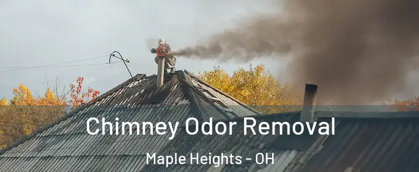  Chimney Odor Removal Maple Heights - OH
