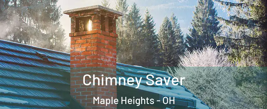  Chimney Saver Maple Heights - OH