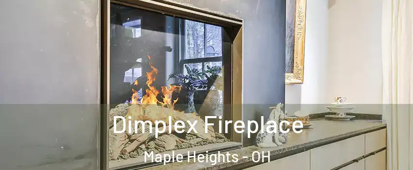  Dimplex Fireplace Maple Heights - OH