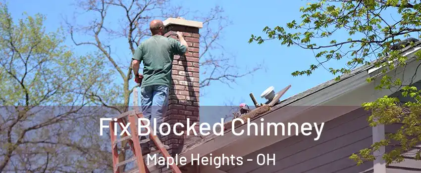  Fix Blocked Chimney Maple Heights - OH