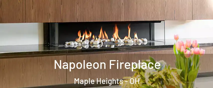  Napoleon Fireplace Maple Heights - OH