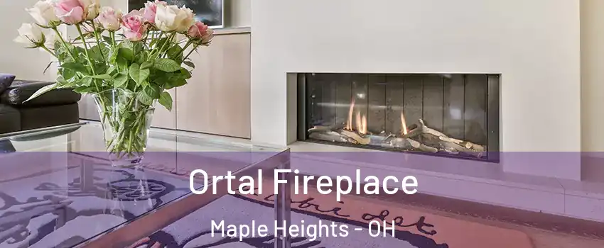 Ortal Fireplace Maple Heights - OH
