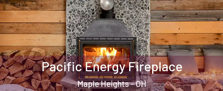  Pacific Energy Fireplace Maple Heights - OH